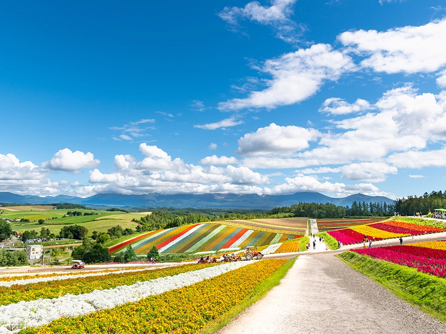 北海道のツーリングで注意すべきこと