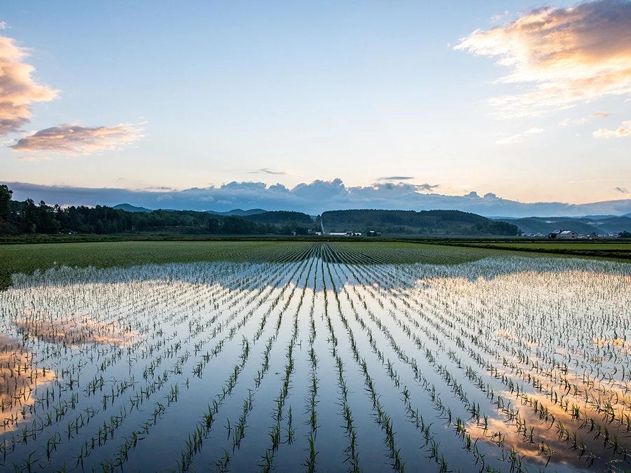 北海道の地域区分と各エリアの特徴