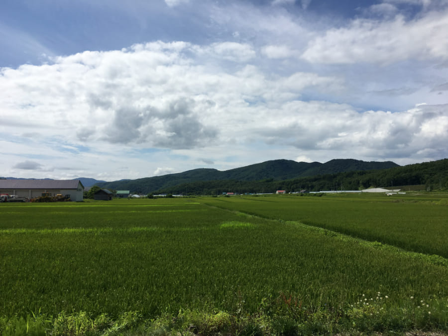 十勝平野の広大な風景を楽しむツーリングルート