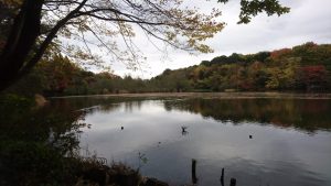 大沼公園のイメージ