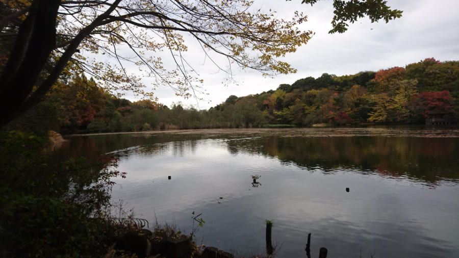函館・大沼公園ツーリング